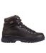  Color Option: Dark Brown, $249.